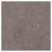 Dlažba Pastorelli Biophilic dark grey 60x60 cm mat P009460