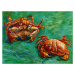 Obrazová reprodukce Two Crabs, Vincent van Gogh, 40 × 30 cm