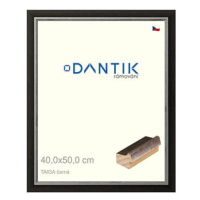 DANTIK rámeček 40 × 50, TAIGA černý plexi čiré