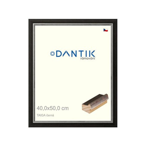 DANTIK rámeček 40 × 50, TAIGA černý plexi čiré