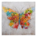 Obraz Barevný motýl 100x100 cm