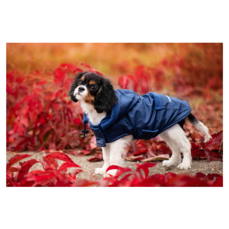 Vsepropejska Winter bunda pro psa s kapucí Barva: Modrá, Délka zad (cm): 28, Obvod hrudníku: 30 