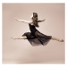 Fotografie Ballet dancer woman black dress. Studio shot., utkamandarinka, 40 × 40 cm