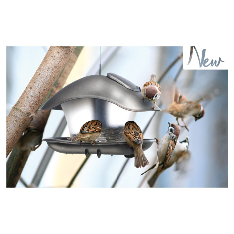 Krmítko pro ptáky BIRDYFEED SQUARE antracit 24,8 cm PRIBFS-S433 Prosperplast