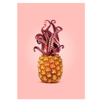 Ilustrace Octopus Pineapple, Artem Pozdniakov, 30 × 40 cm