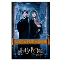 Umělecký tisk Harry Potter - Kámen mudrců, 26.7 × 40 cm