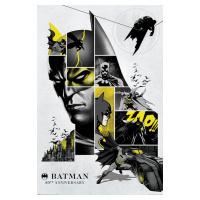 Plakát, Obraz - Batman - 80th Anniversary, 61 × 91.5 cm