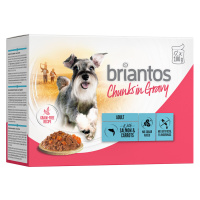 Briantos Chunks in Gravy 12 x 100 g - losos s mrkví