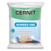 CERNIT Number One 56g lišejníková