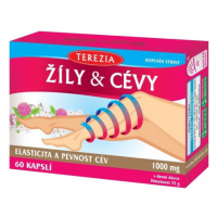 TEREZIA Žíly & Cévy 60 kapslí