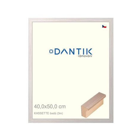 DANTIK rámeček 40 × 50, KASSETTE šedý 3055 plexi čiré