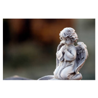 Fotografie Angel statue in winter.  Cemetery., Pascal Deloche / Godong, 40 × 26.7 cm