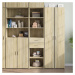 vidaXL Skříň highboard dub sonoma 45 x 42,5 x 185 cm kompozitní dřevo