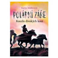 Polární záře Kouzlo divokých koní