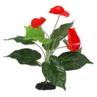 Rostlina REPTI PLANET kvetoucí Anthurium 40 cm