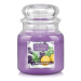 Country Candle Svíčka ve skleněné dóze, Citronová levandule, 453 g