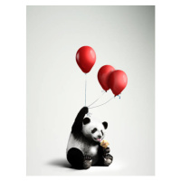 Fotografie Panda holding balloons, licking ice cream, C.J. Burton, 30 × 40 cm