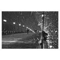 Fotografie The Moscow blizzard, Lyubov	Furs, 40 × 26.7 cm