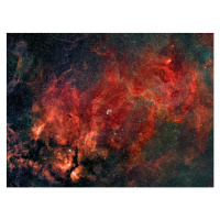 Fotografie Widefield view of the Crescent Nebula,, Stocktrek Images, (40 x 30 cm)