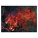 Umělecká fotografie Widefield view of the Crescent Nebula,, Stocktrek Images, (40 x 30 cm)