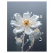 Obrazy na stěnu - Bílá kytka v kapkách deště Rozměr: 40x50 cm, Rámování: bez rámu a bez vypnutí 