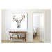 Obraz na plátně SCANDI DEER B různé rozměry Ludesign ludesign obrazy: 80x80 cm