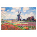 Obrazová reprodukce Tulip Fields with the Rijnsburg Windmill, 1886, Claude Monet, 40 × 26.7 cm