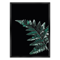 Dekoria Plakát Dark Fern Leaf, 30 x 40 cm, Volba rámku: Černý