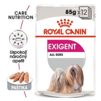 Royal Canin Exigent Dog Loaf 12 × 85 g