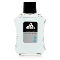 Adidas Ice Dive AS 100 ml M