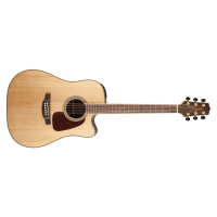 Takamine GD93CE, Rosewood Fingerboard - Natural