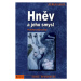 Hněv a jeho smysl - Verena Kastová