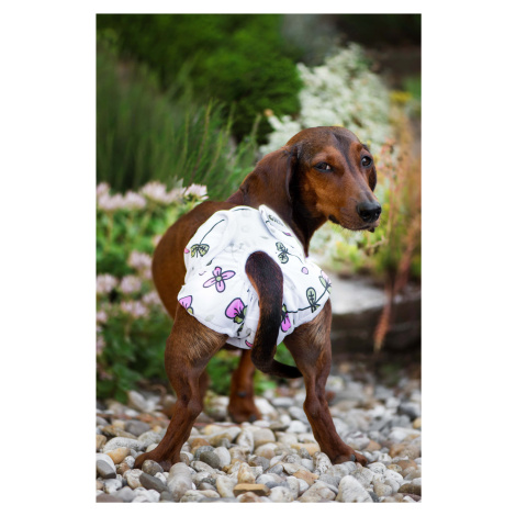 Vsepropejska Dusty hárací kalhotky pro psa Barva: Tulipány, Obvod slabin (cm): 52 - 72