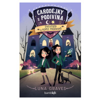 E-kniha: Čarodějky z Podivína - Dvojčata a kopec průšvihů od Gravesová Luna