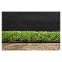 Artificial grass specialists AKCE: 199x240 cm Umělá tráva Rosalia metrážní - Rozměr na míru cm