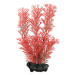 Dekorace Tetra Rostlina Foxtail Red S 15cm