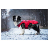 Vsepropejska Doral bunda pro psa s kožíškem Barva: Červená, Délka zad (cm): 32, Obvod hrudníku: 