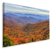 Plátno Podzimní Les V Horách Varianta: 40x30