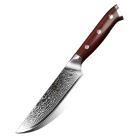 Steakový nůž XinZuo Yu B13R 5
