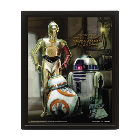 3D obraz Star Wars (Droids)