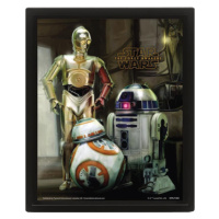 3D obraz Star Wars (Droids)