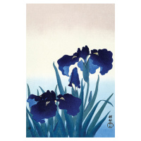 Plakát, Obraz - Ohara Koson - Iris Flowers, 61 × 91.5 cm