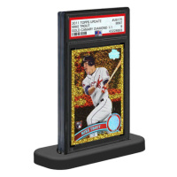 Stojánky na ohodnocené karty PSA (PSA Graded Card Stands) - 10 ks