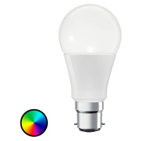 LEDVANCE SMART+ LEDVANCE SMART+ ZigBee B22d 10W RGB 2000-6500K