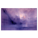 Ilustrace the foggy dew, Annette Schmucker, (40 x 24.6 cm)