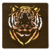 Li-Go "Tygr" světelný obraz s baterií 62x62cm varianta: ovládání na obraze včetně dálkového ovla
