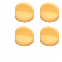 Tescoma FIXAČNÍ MAGNETY NA PEČIC.PAPÍR cm