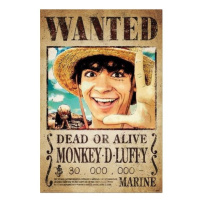 Plakát One Piece - Wanted Monkey D. Luffy (213)