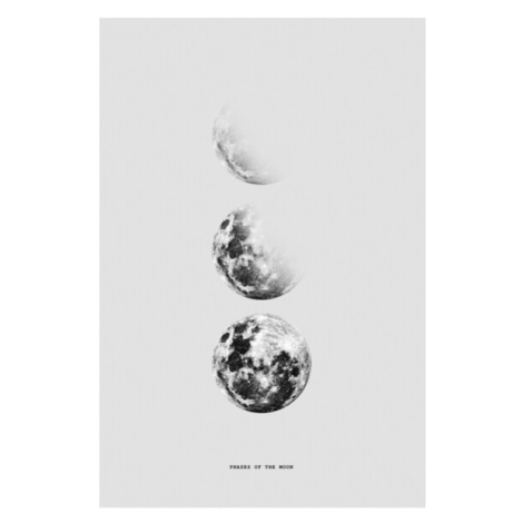 Plakát, Obraz - Finlay & Noa - Moon 5, (40 x 60 cm)