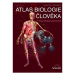 Atlas biologie člověka - kniha